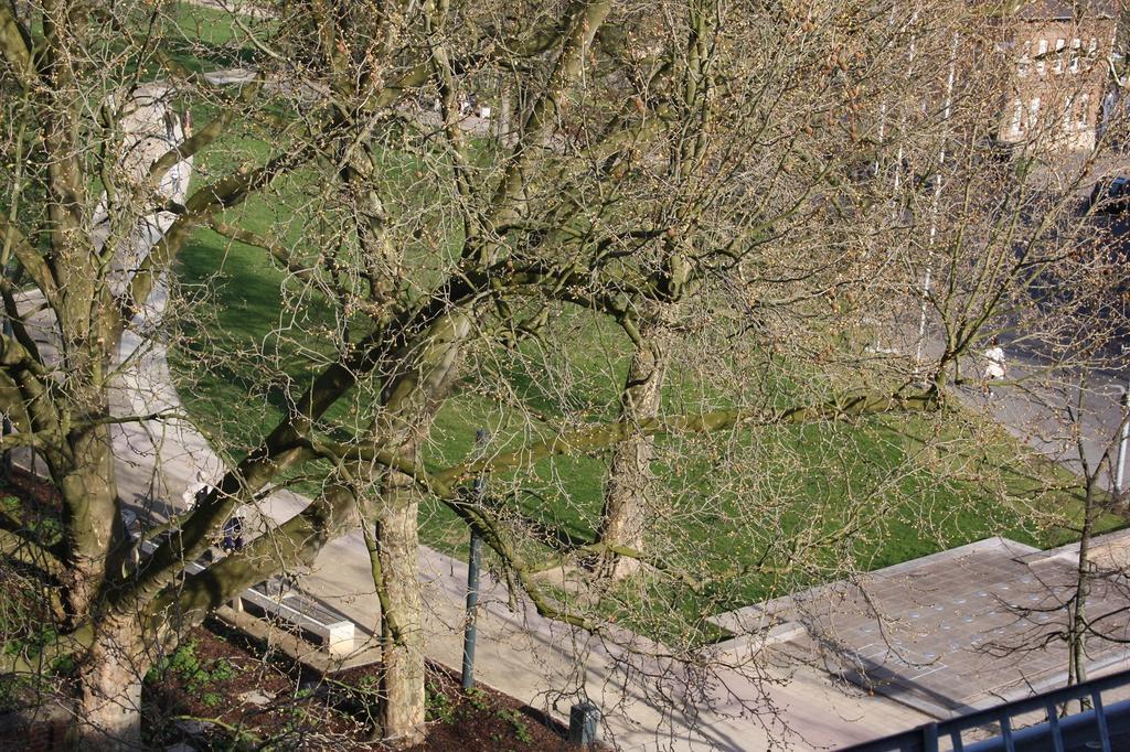 Apartment Wesseling Kültér fotó